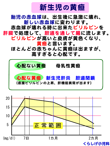 施設案内 くらしげ小児科