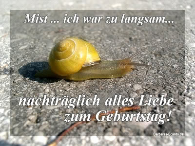 zum geburtstag glückwunsch