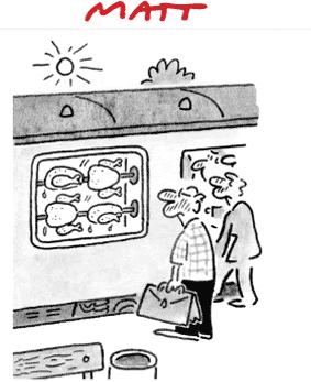 Hot Tube cartoon by Matt in the Daily Telegraph