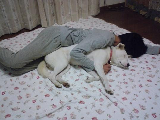 犬と少年 ｃｕｒｉｏｕｓ ｌｉｆｅ 楽天ブログ