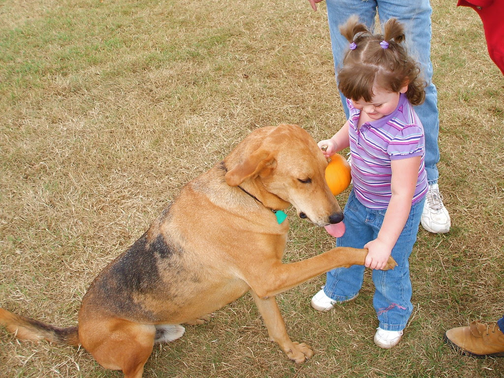 Shaking hands with Willie