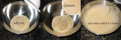 quinoa dosa