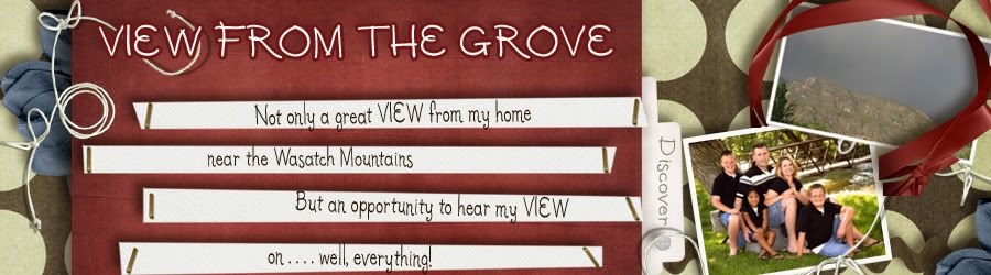 View From The Grove