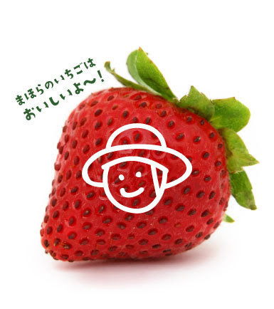 いちご狩りマスター まほらファーム