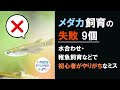 コレクション メダカ 水あわせ 225023-メダカ 水合わせ 夜