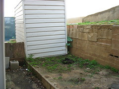 Backyard - at the begining