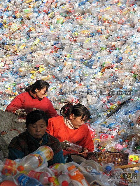Mountains of Used Plastic Bottles (9 pics)