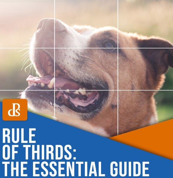 Rule of Thirds in Photography: The Essential Guide