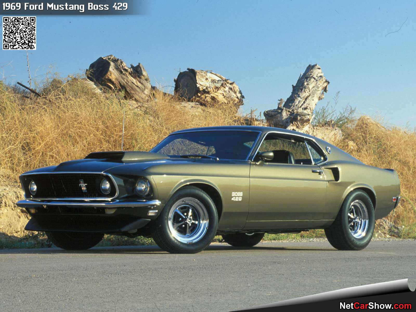 Ford Boss 429 Engine Specs, Ford, Free Engine Image For ...