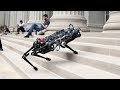MIT's Robo Cheetah now can climb littered stairs with obstacles fast & without seeing