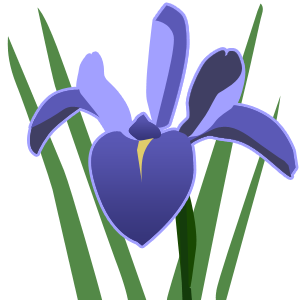 イラスト 日々是吉日 和歌山のエクステリア 植木屋さんの山樹