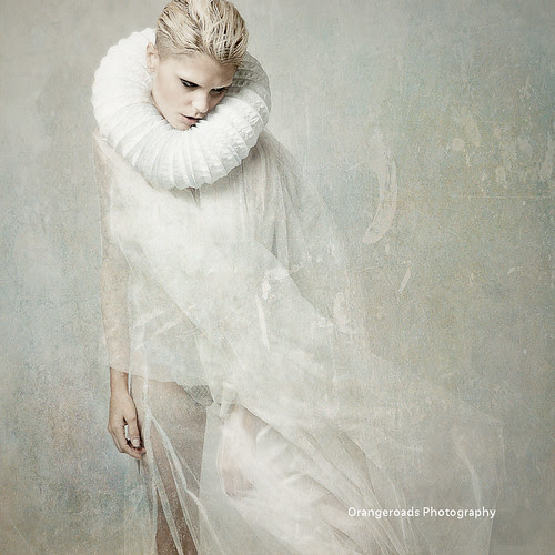 Regal Echo's by Toni Wallachy