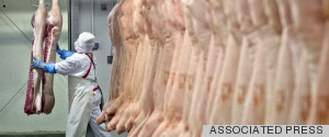 HORSEMEAT