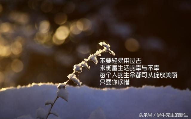 蜗牛唯美名言 经典语录大全 名言名句大全 名人读书名言 励志经典语录