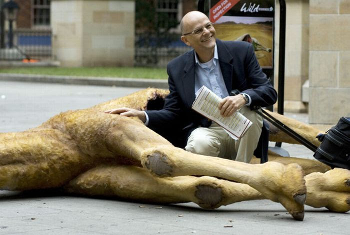 Unusual Promotion (8 pics)