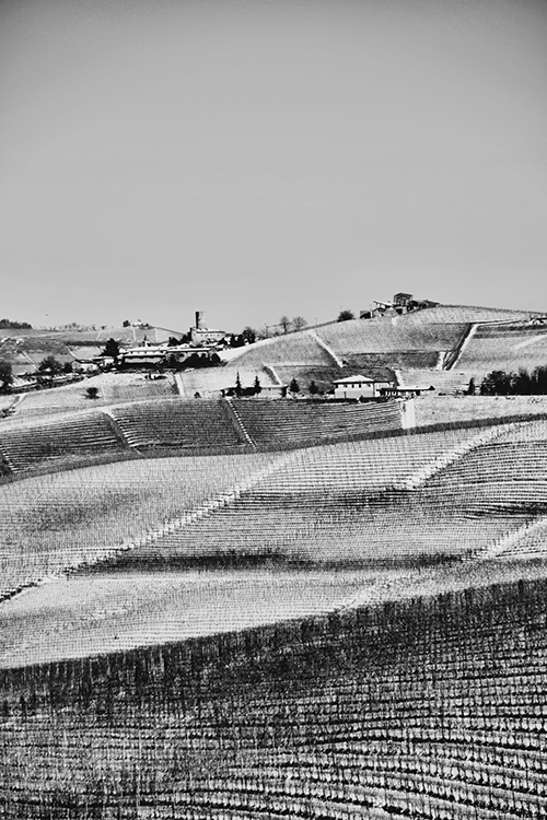 Barolo© by Haalo