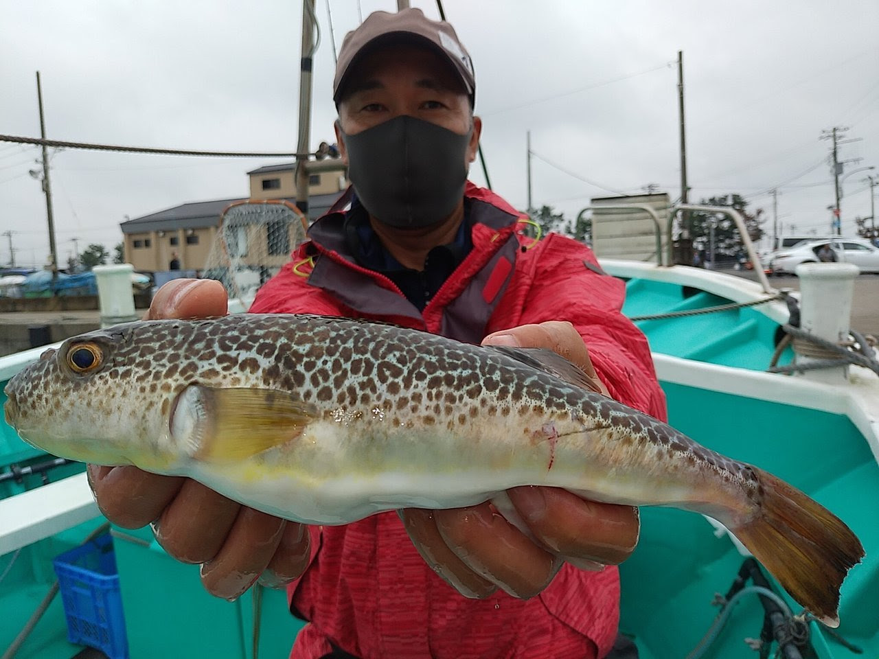 ショウサイフグの釣果 年9月21日 利永丸 千葉県 大原港 ベリー釣船予約