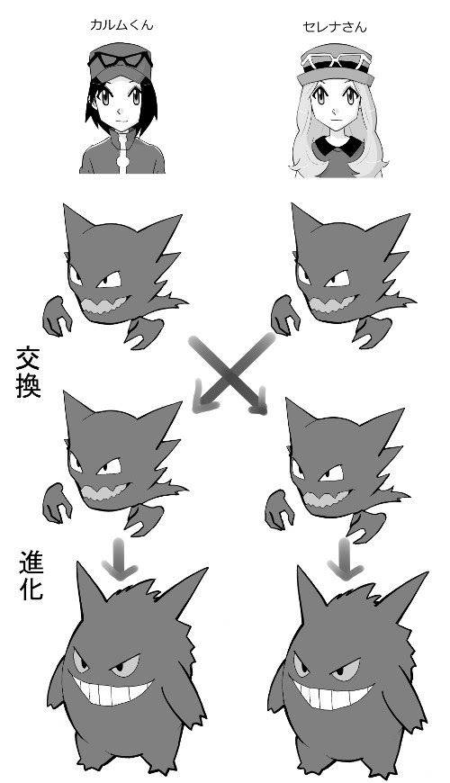 ポケモン初心者がxy殿堂入り後にいろいろやってみるブログ 図鑑埋め