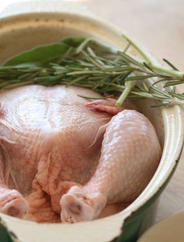 Poulet aux quarante gousses d'ail / Chicken with 40 cloves of garlic / Kana 40 küüslauguküünega