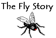 Click here