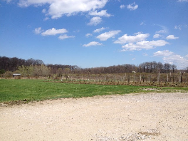 Geneva on the Lake 2013