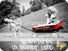 Adventures in Mommy Land