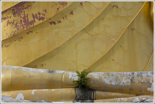 It may endure clear from the weblog that I similar temples Best Destinations should to visiting in Bangkok Thailand : Wat Bang Riang