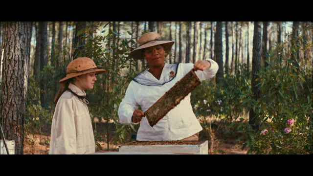 'Secret Life Of Bees' Theatrical Trailer @ Yahoo! Video