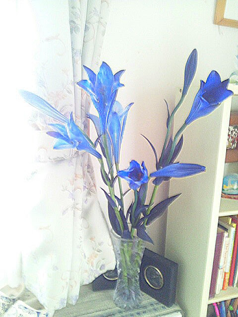 Mondschein 青い百合