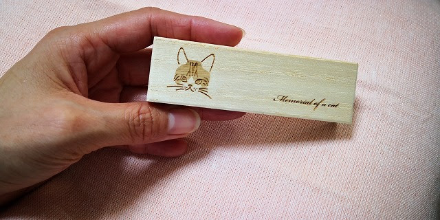 猫の抜けたヒゲを発見 オシャレなケースに入れてお守りとして保管しよう そらのしっぽ