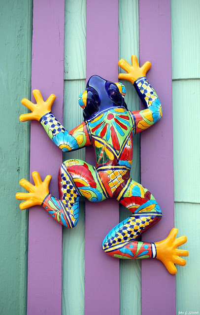 Tattoo Frog. Trying to blend in.