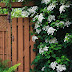 Better Homes And Gardens Spring Cleaning Checklist