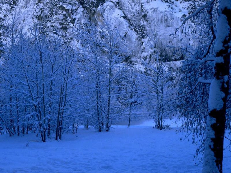 wallpaper de paisajes. wallpaper de paisajes. paisajes con nieve wallpaper; paisajes con nieve wallpaper. WillEH. Apr 14, 02:54 PM. Great, downloading it.