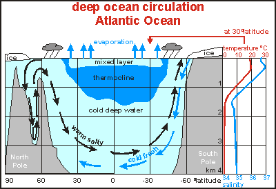 Currents and circulation (2)