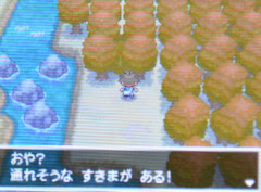 隠し穴の場所と出現するポケモン ポケモン ブラック2 ホワイト2 Bw2 攻略広場