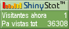 Audiencia web