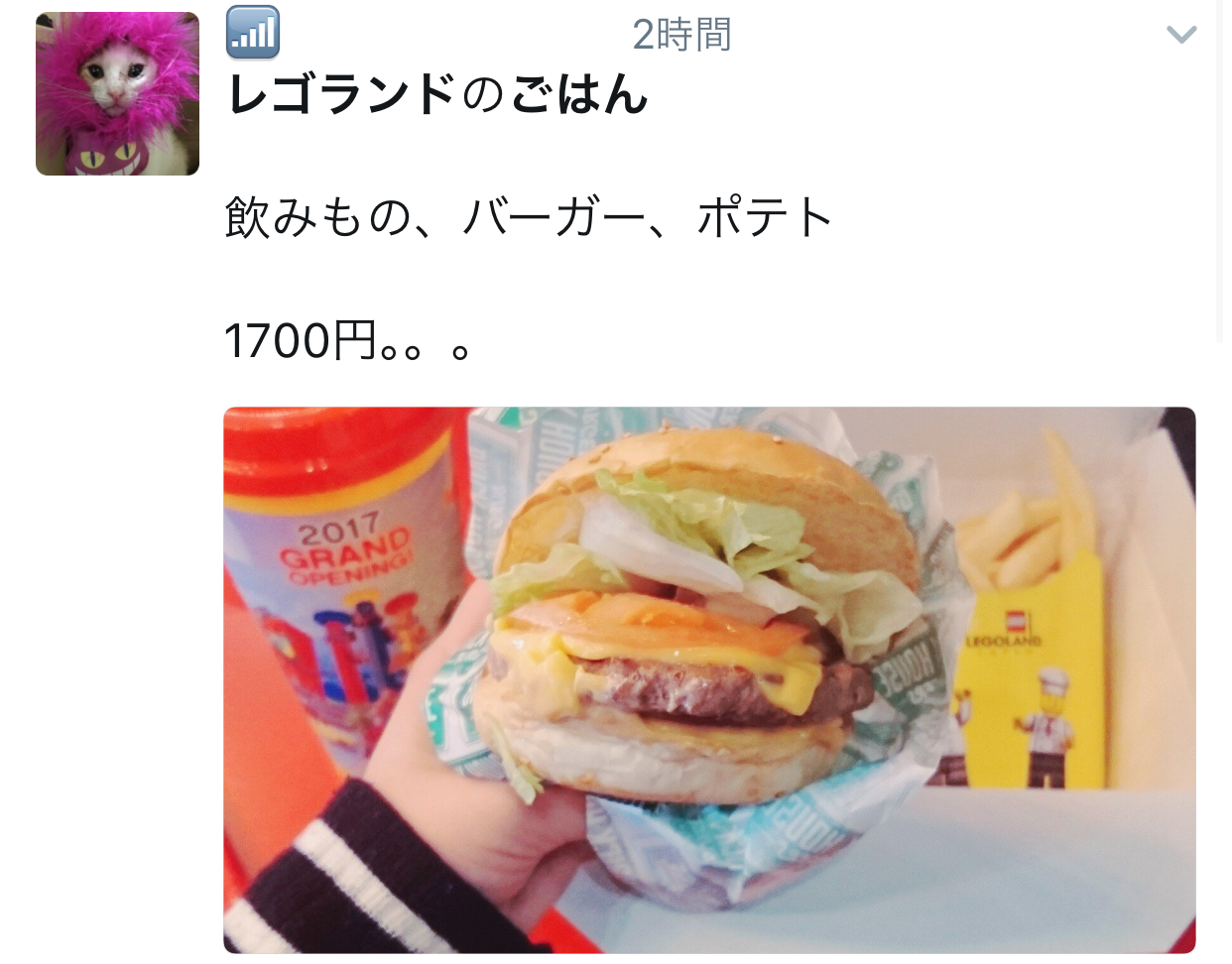 悲報 本日オープンの レゴランド 飯が高すぎるとsnsで炎上 愛知万博の悪夢再来か ガールズちゃんねる Girls Channel