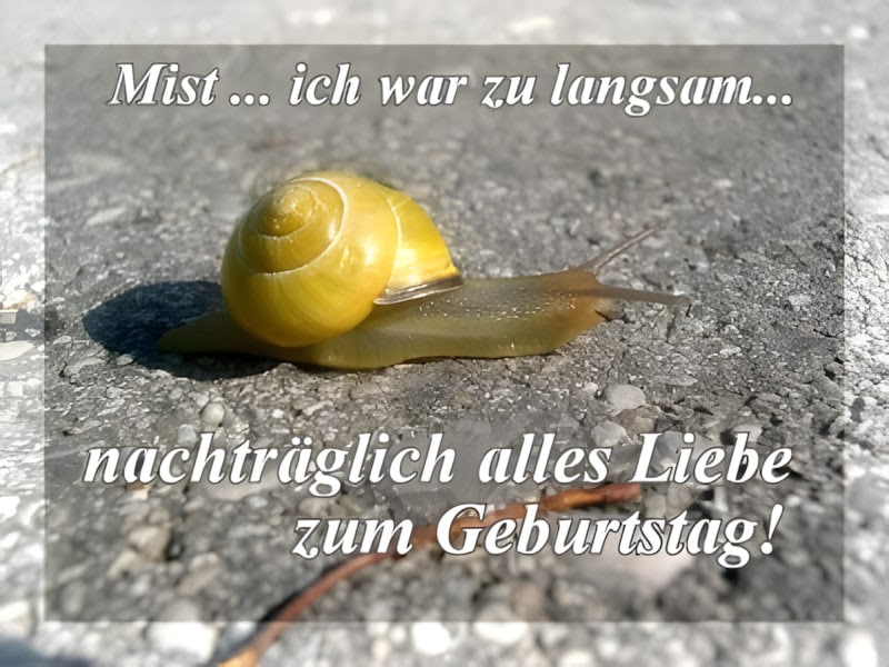 glückwünsche zum geburtstag radfahrer
