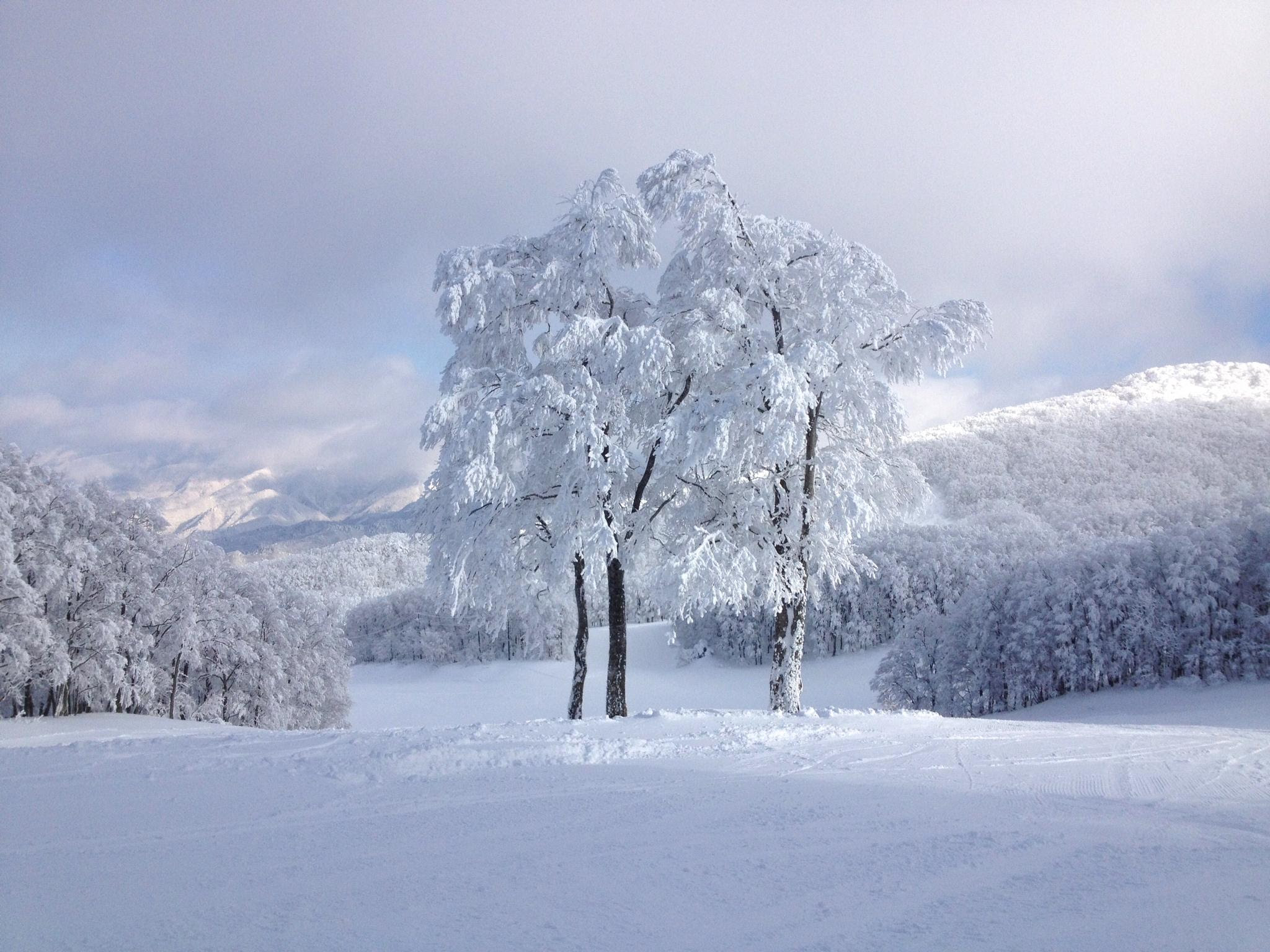 下雪景色 万图壁纸网