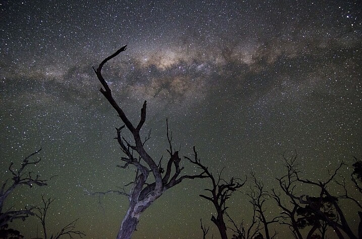 Indigo Skies Photography