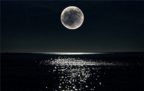 photography pretty beautiful photo sky landscape moon night water beach sweet jehovah's creation ...
