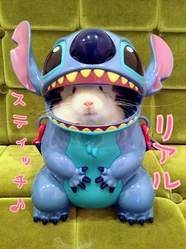 イメージ