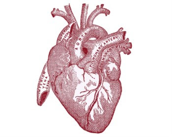 O objectivo é fabricar células de doentes cardíacos, feitas à sua medida