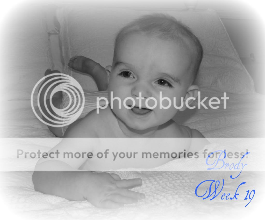photo Week19.jpg