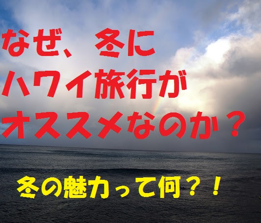 冬のハワイ楽しみ方 服装は 海で泳げる イベントとセール情報