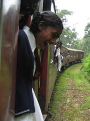 Train in Sri Lanka