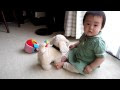 [10000ダウンロード済み√] おもちゃ 犬 動く 128539-赤ちゃん おもちゃ 動く 犬