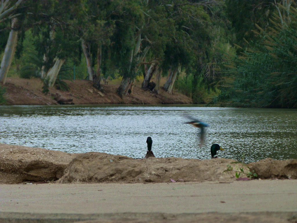 03-11-2011-stolen-moment