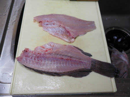 ソイの刺身 さばき方 魚料理と簡単レシピ