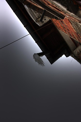 Gutter